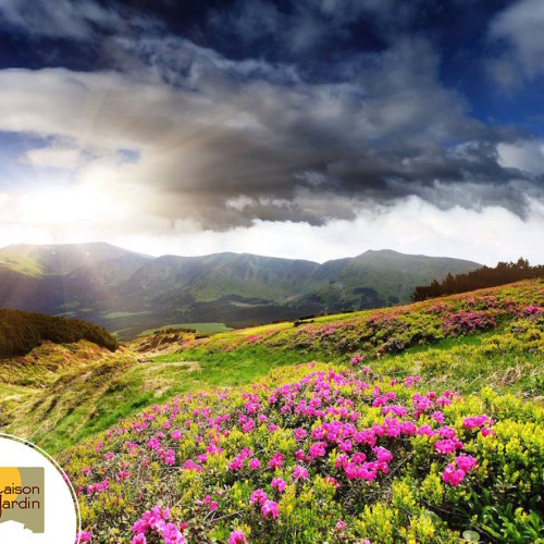 etape construction maison Auvergne1 choix terrain