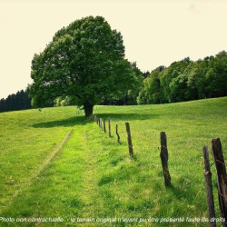 Maison et Jardin Constructeur 16 Maison et Jardin Constructeur 16